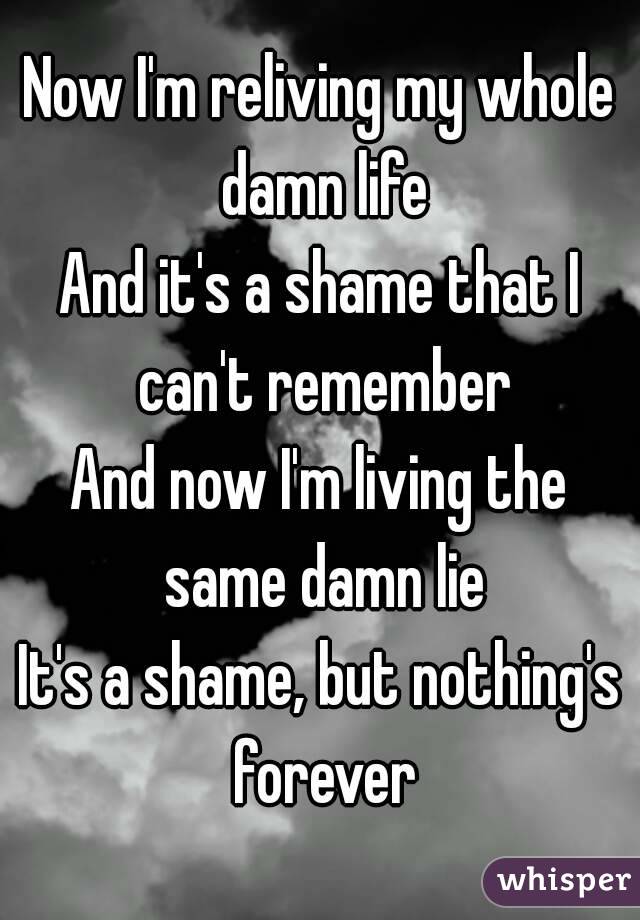 Now I'm reliving my whole damn life
And it's a shame that I can't remember
And now I'm living the same damn lie
It's a shame, but nothing's forever