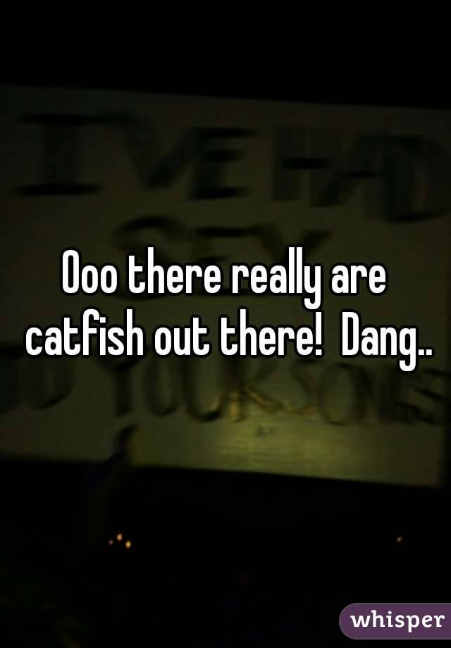 Ooo there really are catfish out there!  Dang..