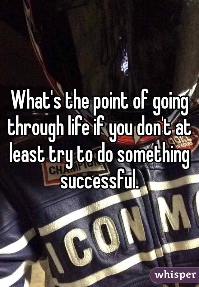 What's the point of going through life if you don't at least try to do something successful. 