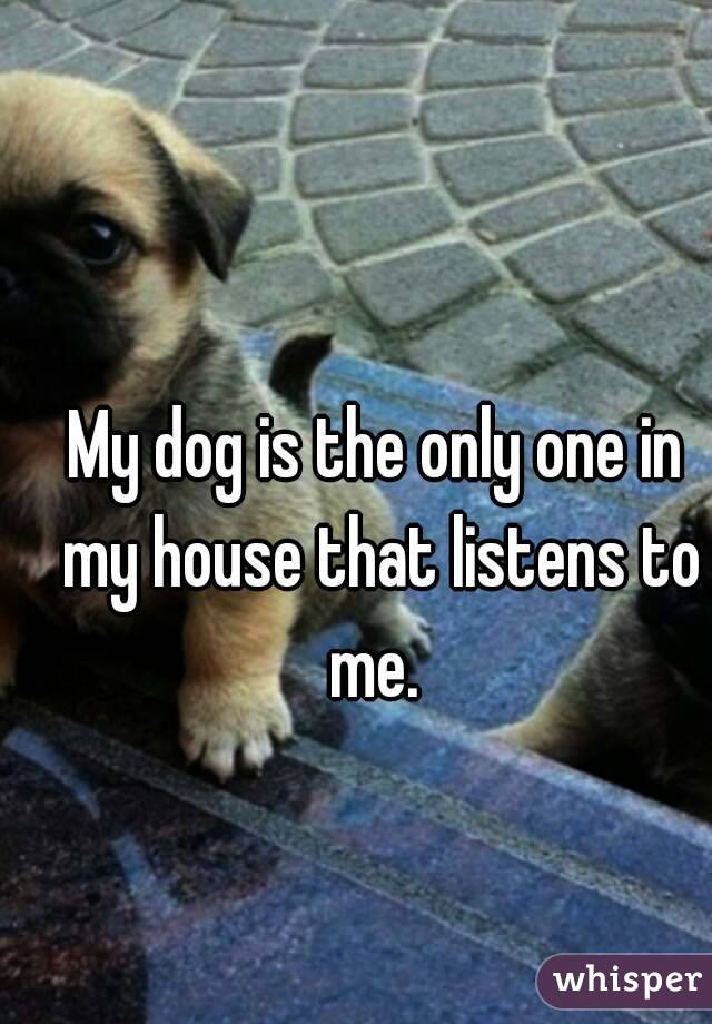 My dog is the only one in my house that listens to me. 