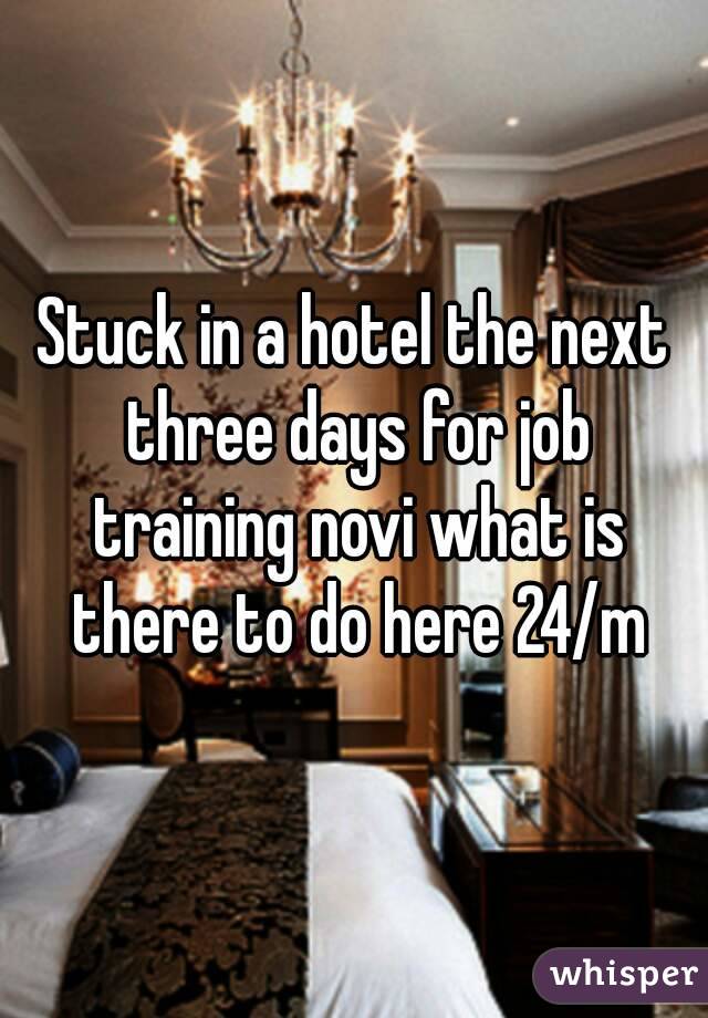 Stuck in a hotel the next three days for job training novi what is there to do here 24/m