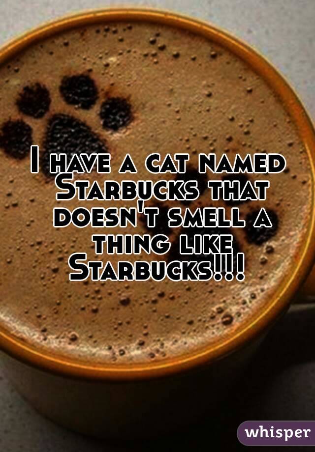 I have a cat named Starbucks that doesn't smell a thing like Starbucks!!! 