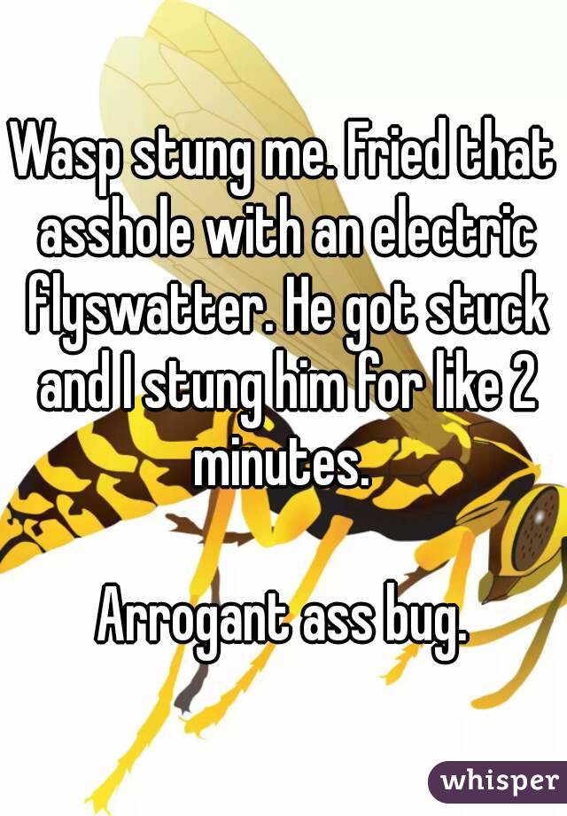 Wasp stung me. Fried that asshole with an electric flyswatter. He got stuck and I stung him for like 2 minutes. 

Arrogant ass bug.