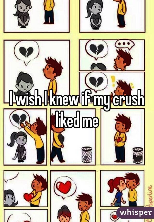 I wish I knew if my crush liked me