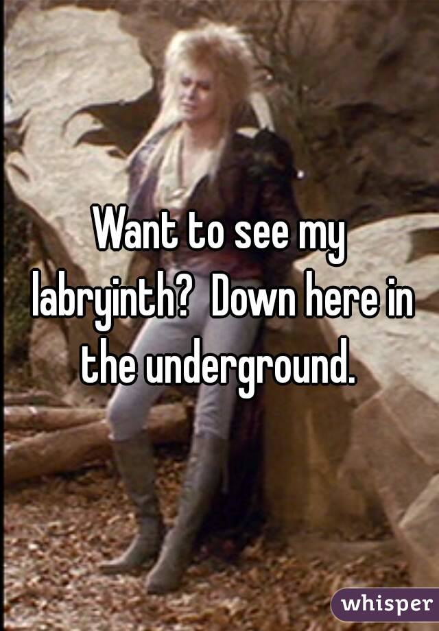 Want to see my labryinth?  Down here in the underground. 