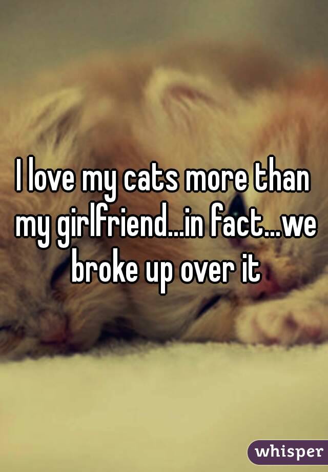 I love my cats more than my girlfriend...in fact...we broke up over it