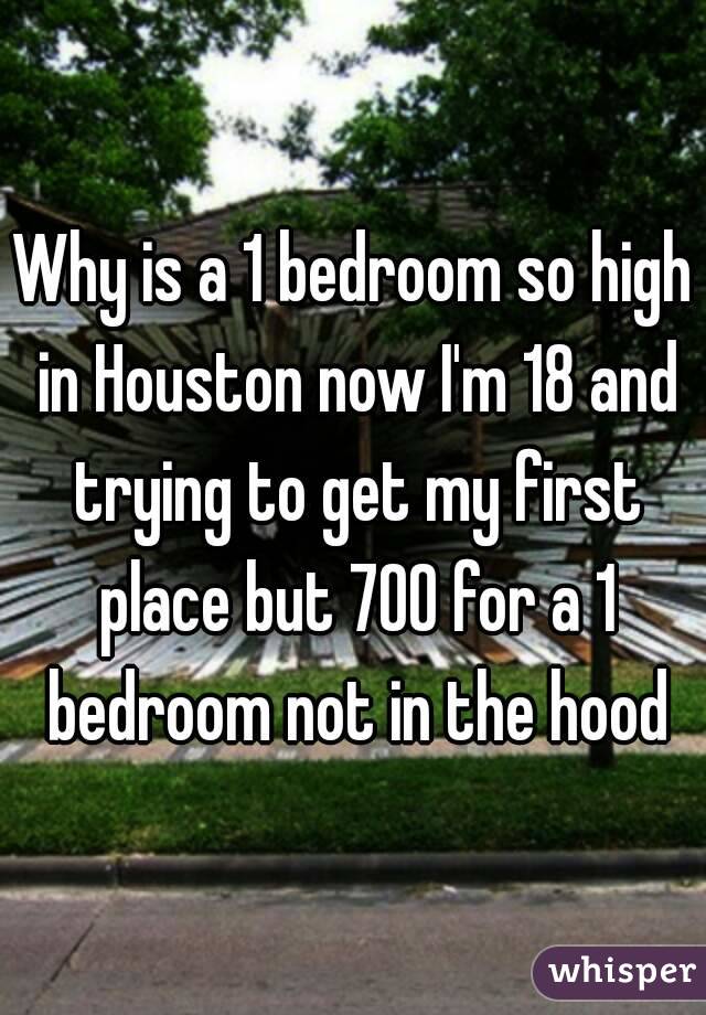 Why is a 1 bedroom so high in Houston now I'm 18 and trying to get my first place but 700 for a 1 bedroom not in the hood