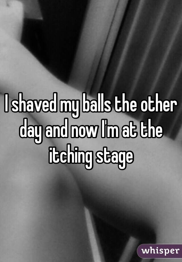 I shaved my balls the other day and now I'm at the itching stage