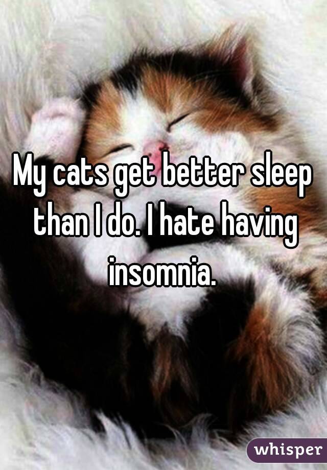 My cats get better sleep than I do. I hate having insomnia. 