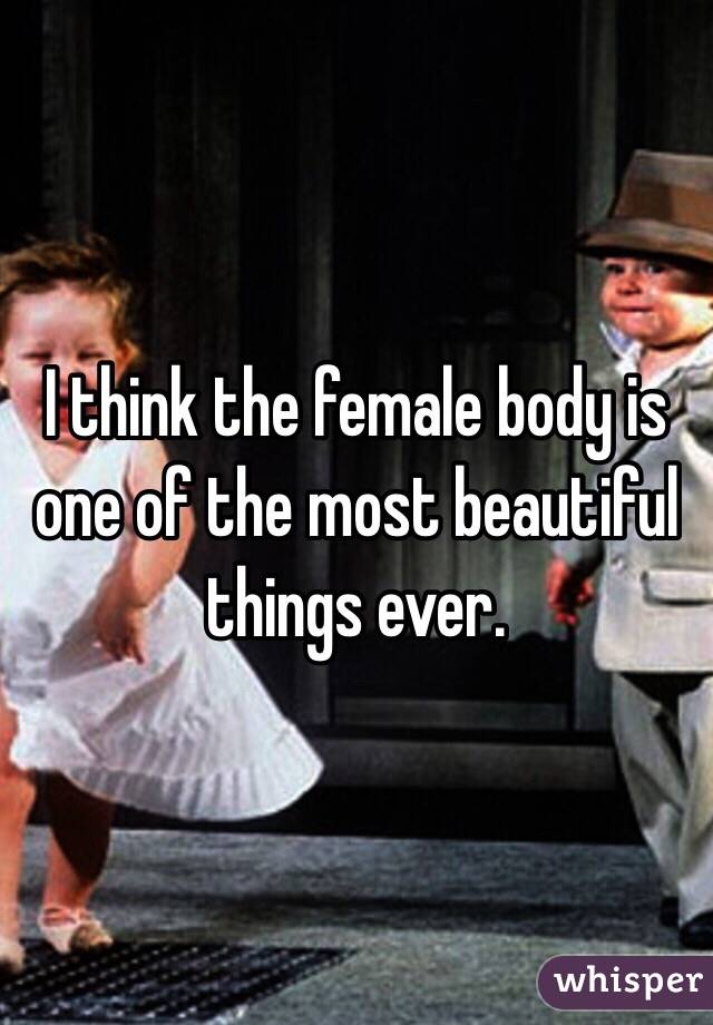 I think the female body is one of the most beautiful things ever.