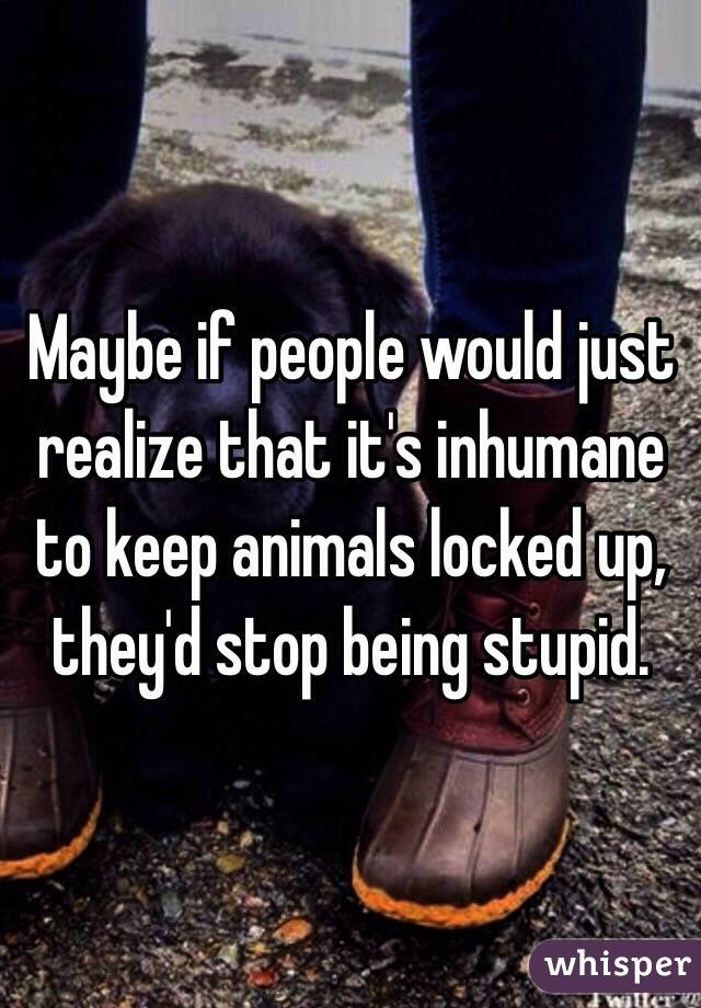 Maybe if people would just realize that it's inhumane to keep animals locked up, they'd stop being stupid. 