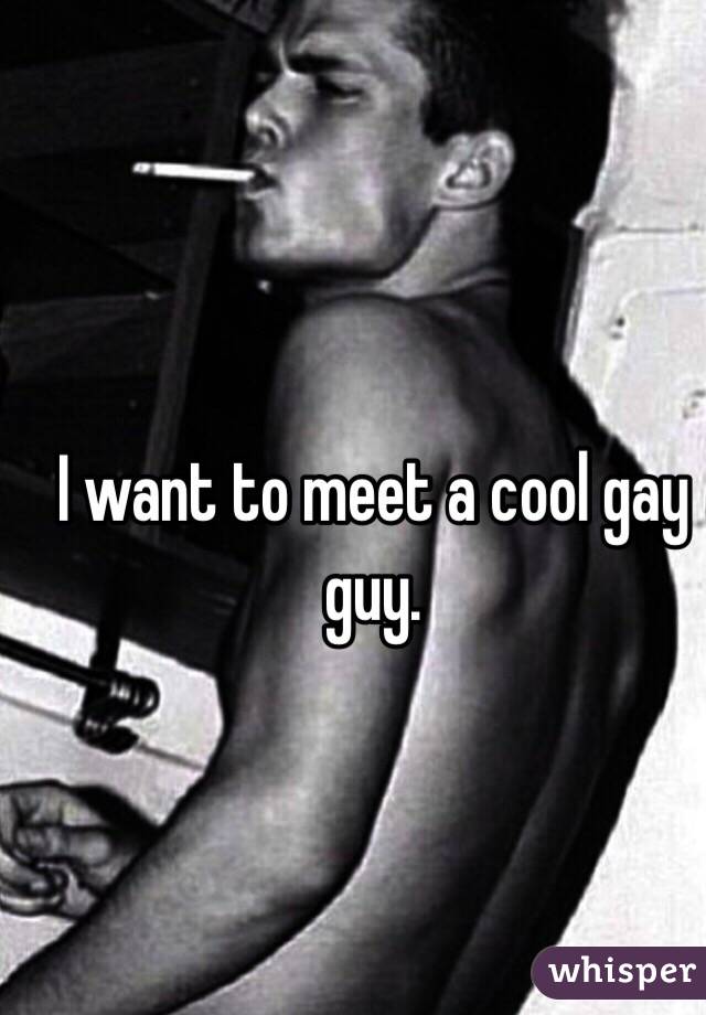 I want to meet a cool gay guy. 