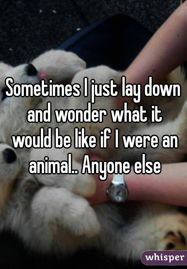 Sometimes I just lay down and wonder what it would be like if I were an animal.. Anyone else