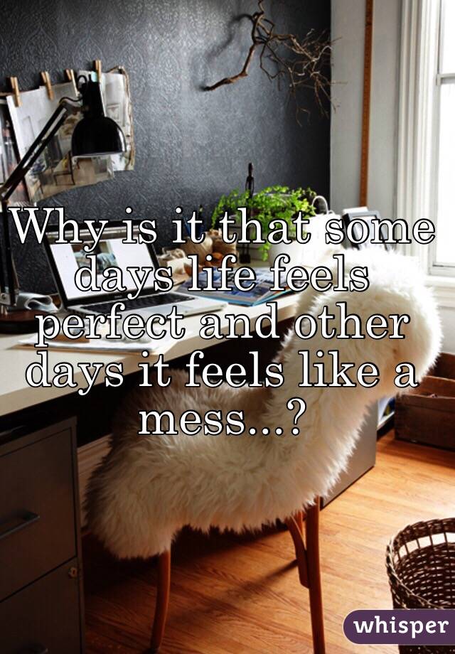 Why is it that some days life feels perfect and other days it feels like a mess...?