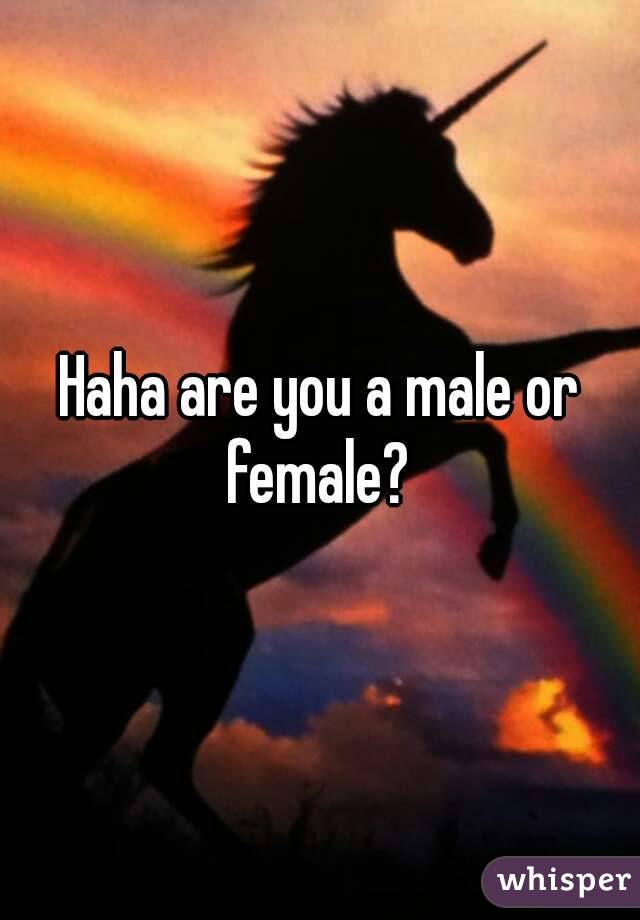 Haha are you a male or female? 