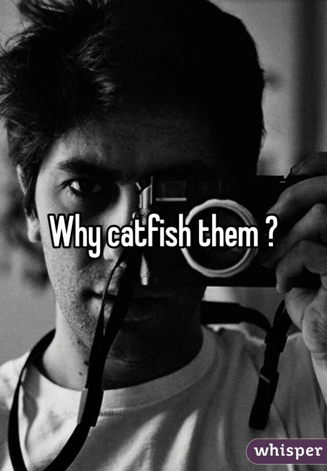 Why catfish them ?