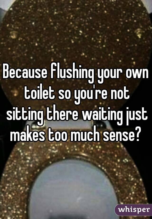 Because flushing your own toilet so you're not sitting there waiting just makes too much sense? 