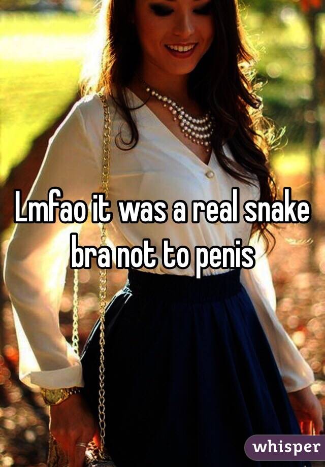 Lmfao it was a real snake bra not to penis 