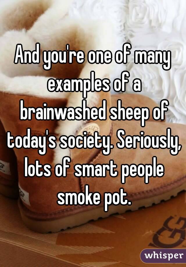 And you're one of many examples of a brainwashed sheep of today's society. Seriously, lots of smart people smoke pot.