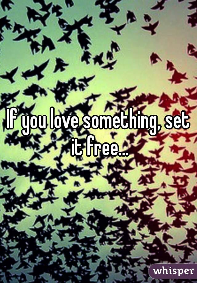 If you love something, set it free...