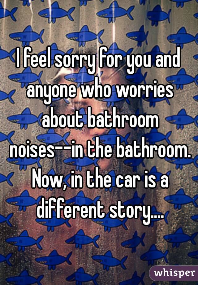 I feel sorry for you and anyone who worries about bathroom noises--in the bathroom. Now, in the car is a different story....