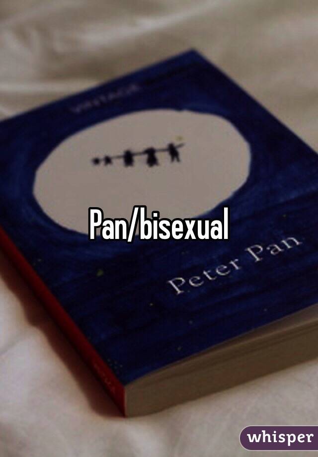 Pan/bisexual