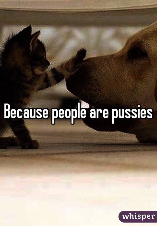 Because people are pussies