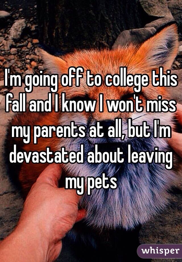 I'm going off to college this fall and I know I won't miss my parents at all, but I'm devastated about leaving my pets