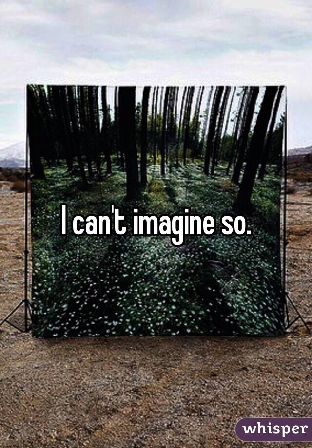 i-can-t-imagine-so