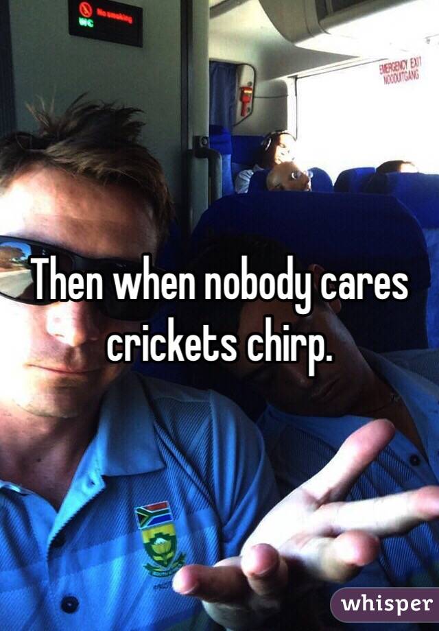 Then when nobody cares crickets chirp. 