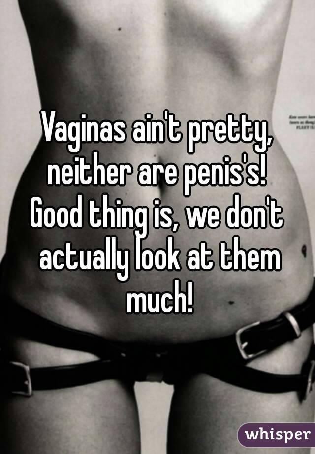 Vaginas ain't pretty, neither are penis's! 
Good thing is, we don't actually look at them much!