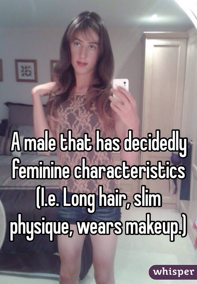 A male that has decidedly feminine characteristics
(I.e. Long hair, slim physique, wears makeup.)