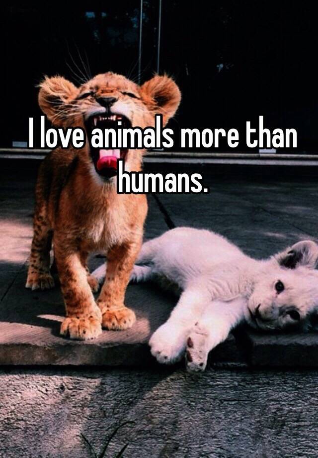 I love animals more than humans.