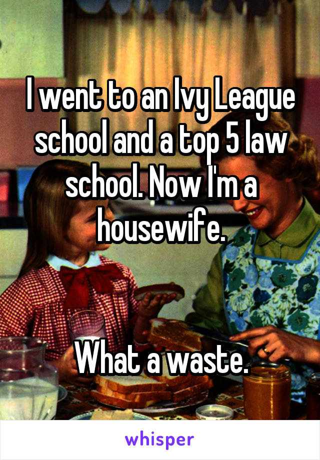 I went to an Ivy League school and a top 5 law school. Now I'm a housewife.


What a waste.