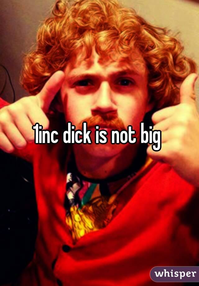1inc dick is not big 