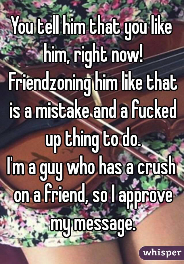 You tell him that you like him, right now! Friendzoning him like that is a mistake and a fucked up thing to do.
I'm a guy who has a crush on a friend, so I approve my message.