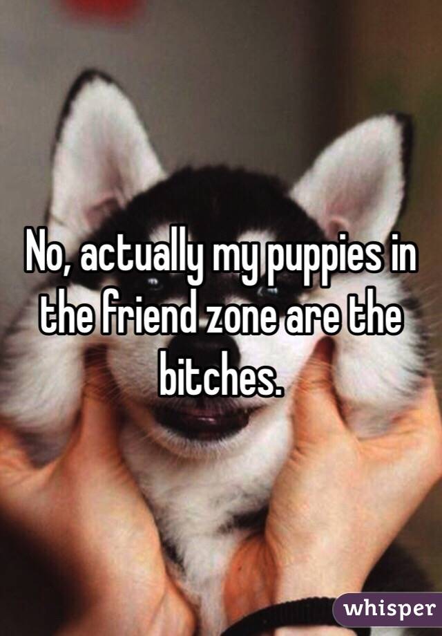 No, actually my puppies in the friend zone are the bitches.