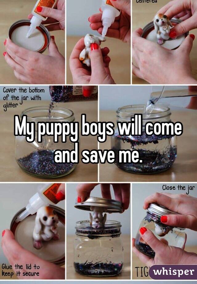 My puppy boys will come and save me.