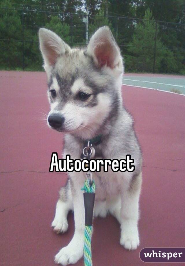 Autocorrect 