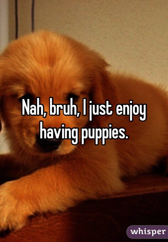 Nah, bruh, I just enjoy having puppies.