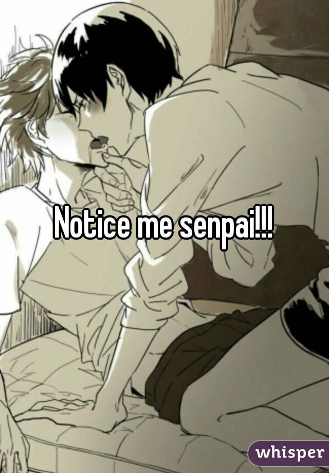 Notice me senpai!!!