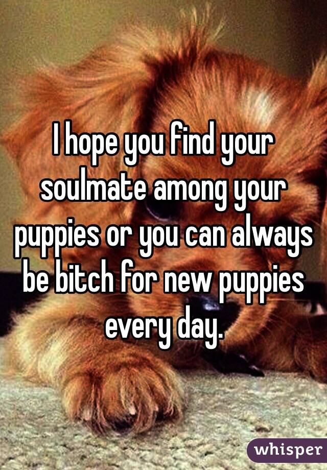 I hope you find your soulmate among your puppies or you can always be bitch for new puppies every day. 