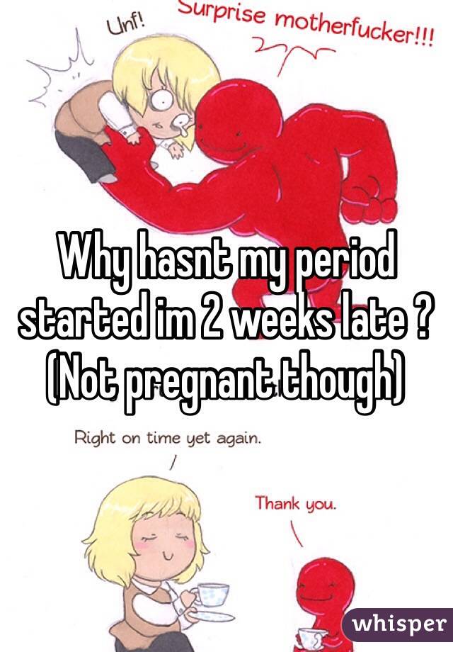 Why hasnt my period started im 2 weeks late ? (Not pregnant though) 