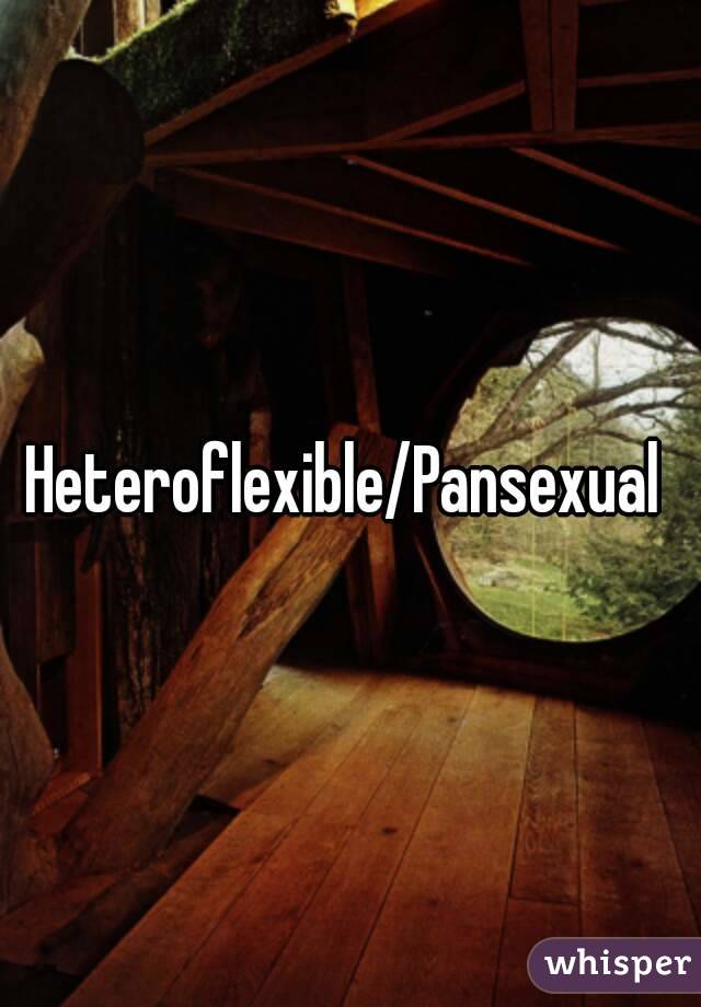 Heteroflexible/Pansexual 