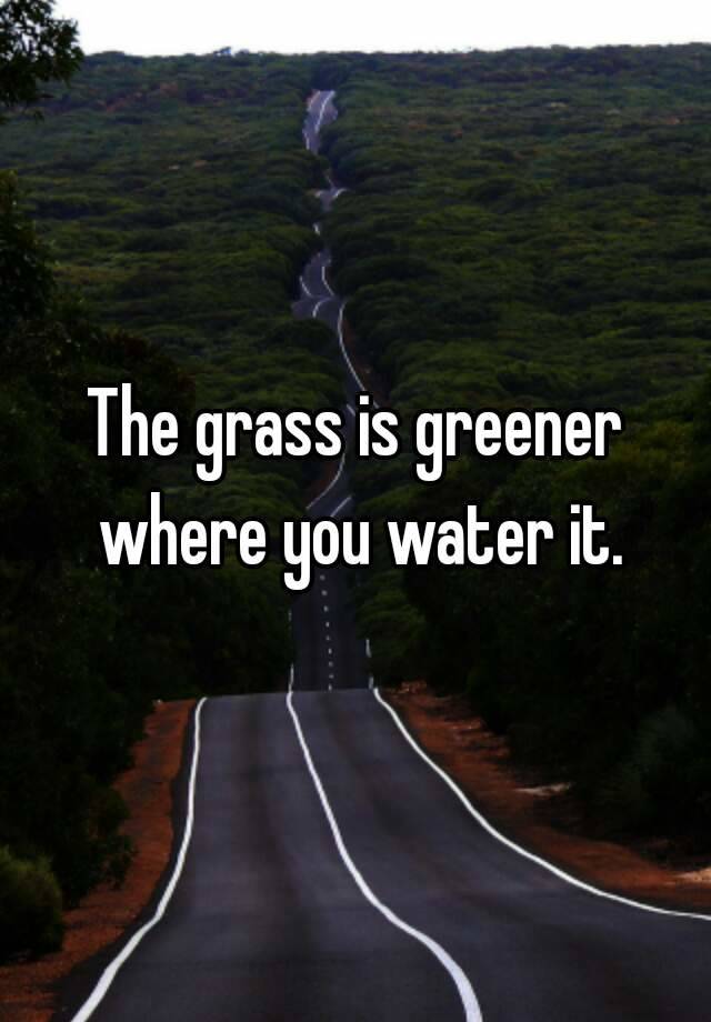 The grass is greener where you water it.