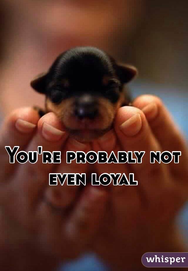 You're probably not even loyal