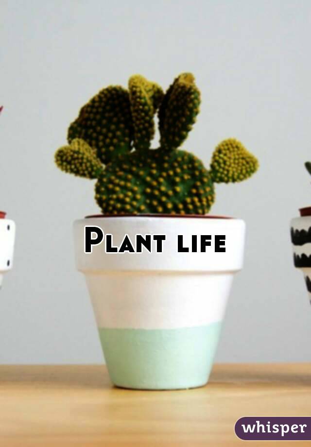 Plant life