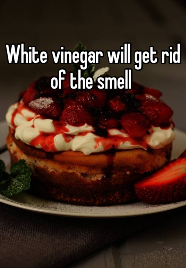 What Neutralizes Vinegar Smell at Timothy Mathis blog