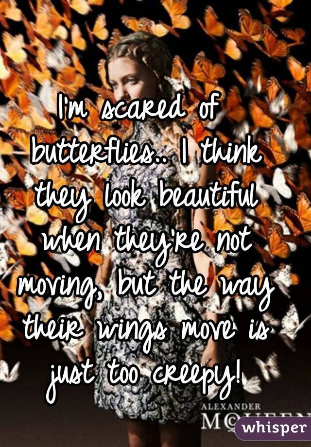 I'm scared of butterflies.. I think they look beautiful when they're not moving, but the way their wings move is just too creepy!