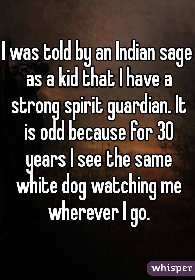 I was told by an Indian sage as a kid that I have a strong spirit guardian. It is odd because for 30 years I see the same white dog watching me wherever I go.